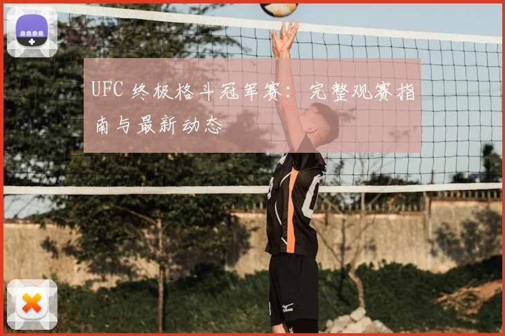 UFC 终极格斗冠军赛：完整观赛指南与最新动态