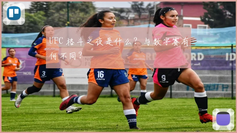 UFC 格斗之夜是什么？与数字赛有何不同？